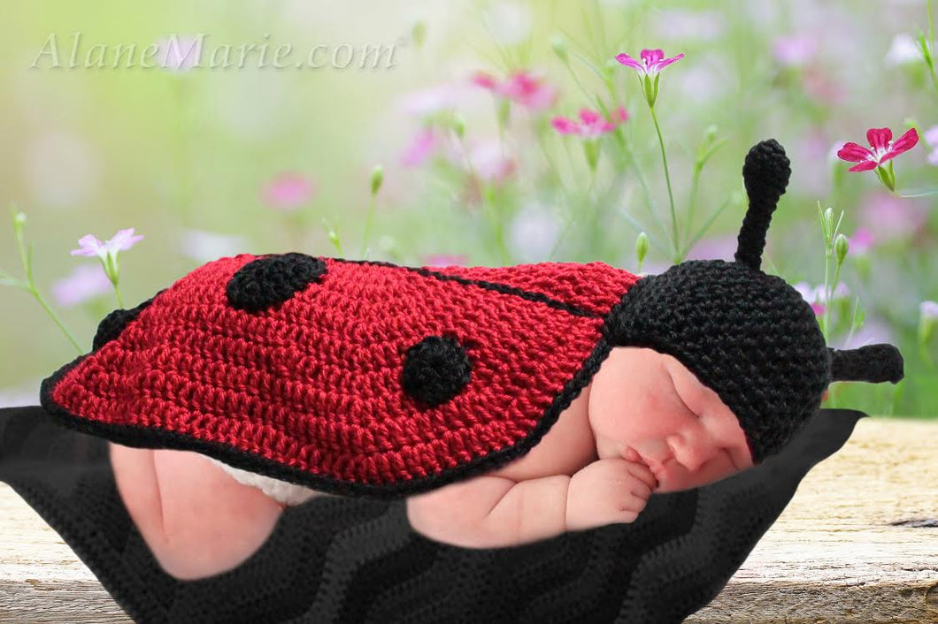 Crochet Ladybug - Blanket and Hat